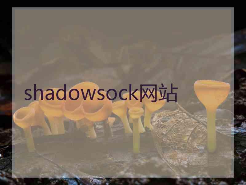 shadowsock网站