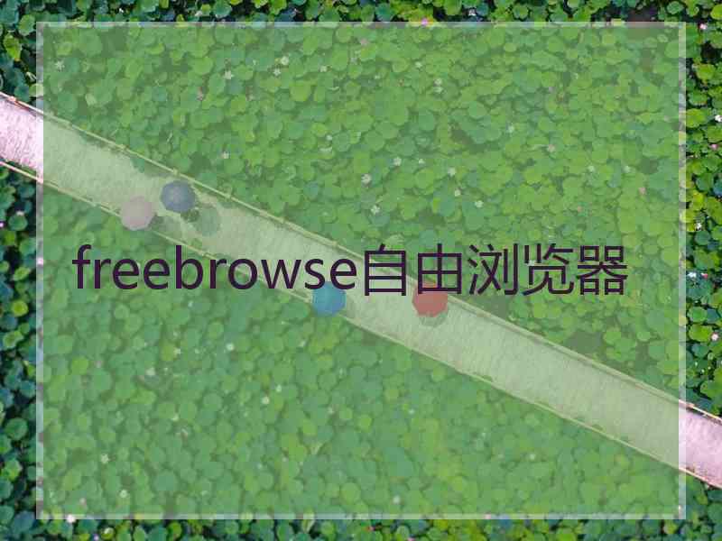 freebrowse自由浏览器