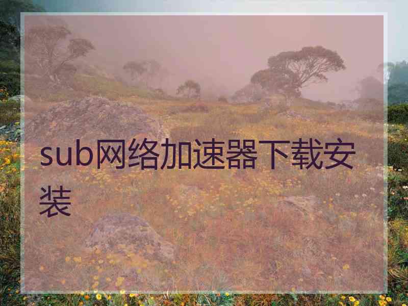 sub网络加速器下载安装