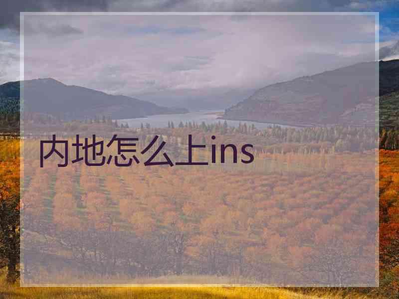 内地怎么上ins