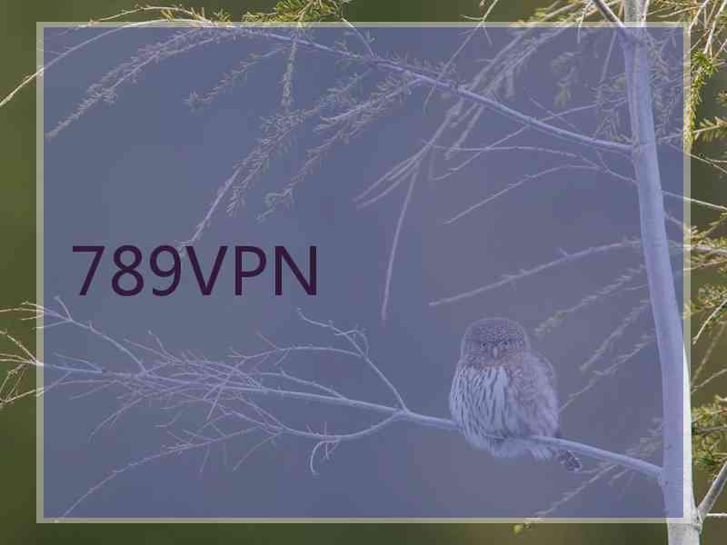 789VPN