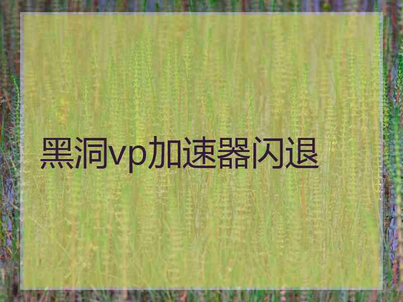 黑洞vp加速器闪退