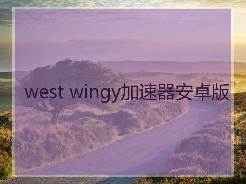 west wingy加速器安卓版