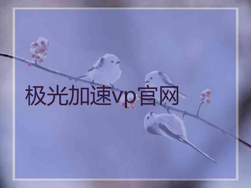 极光加速vp官网