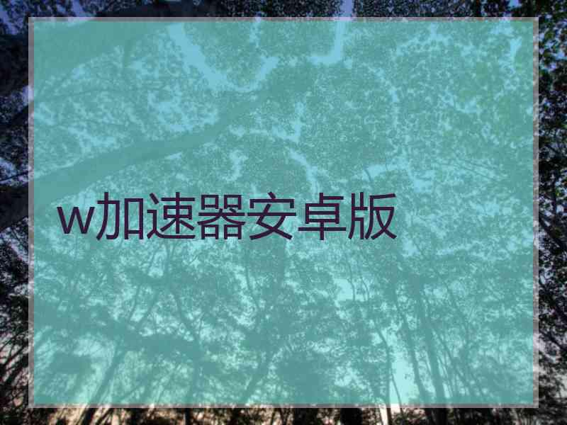 w加速器安卓版