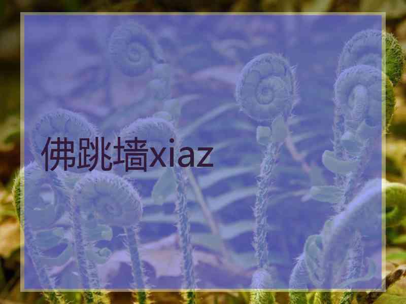 佛跳墙xiaz