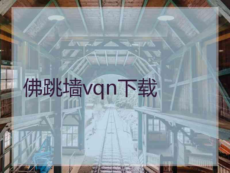 佛跳墙vqn下载