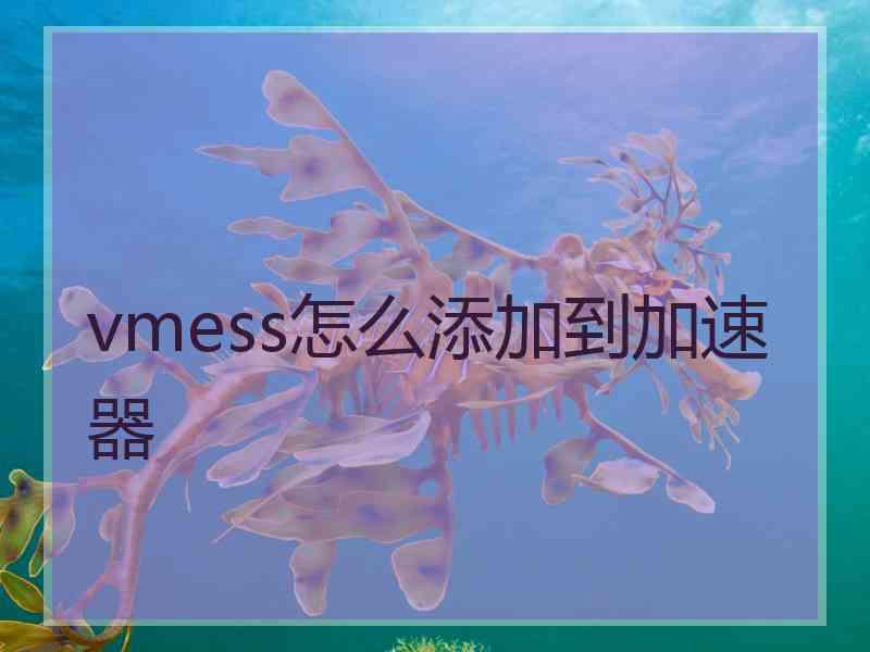 vmess怎么添加到加速器