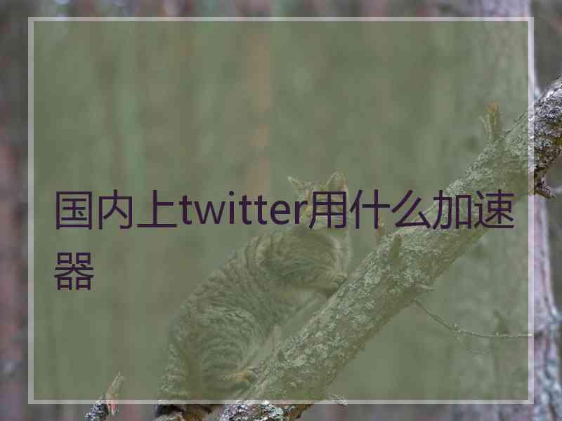 国内上twitter用什么加速器