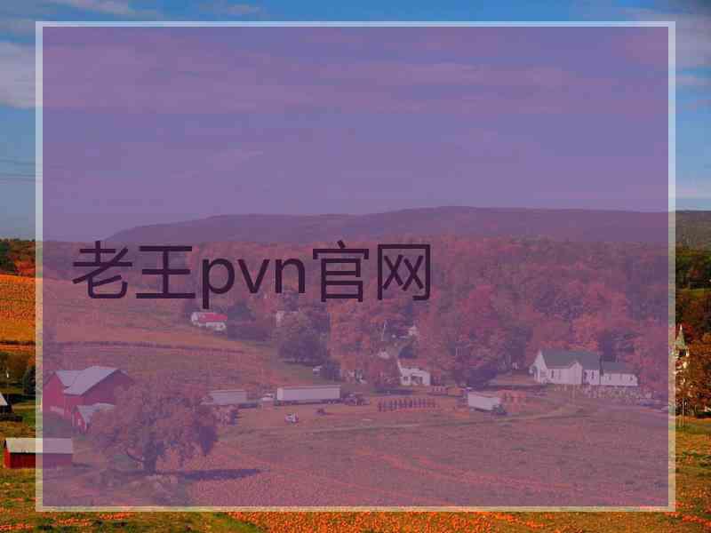 老王pvn官网