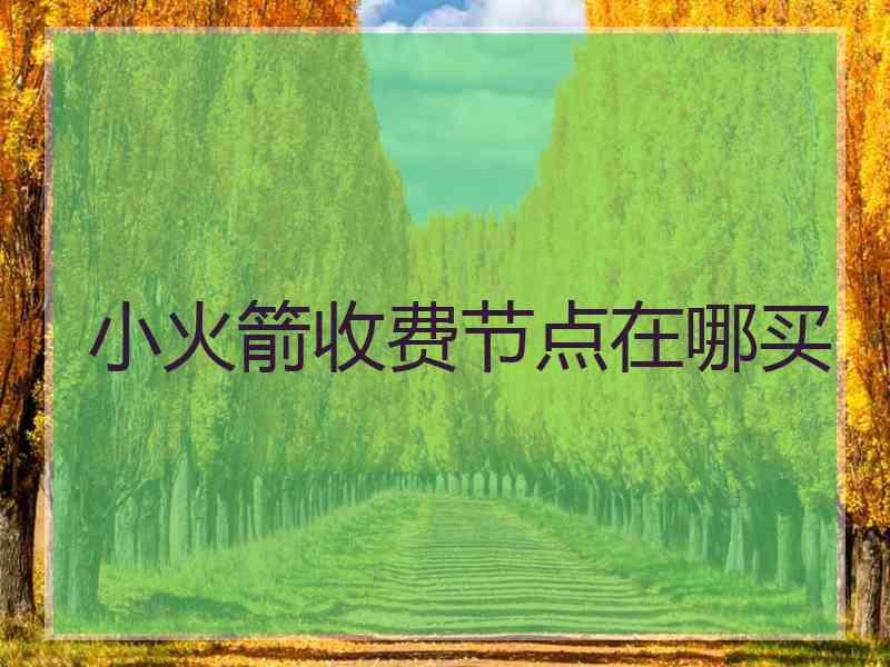 小火箭收费节点在哪买