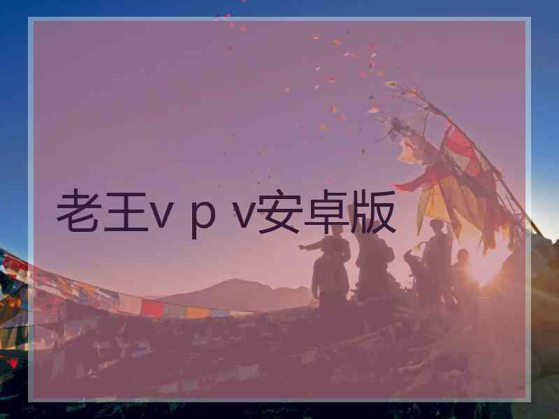 老王v p v安卓版