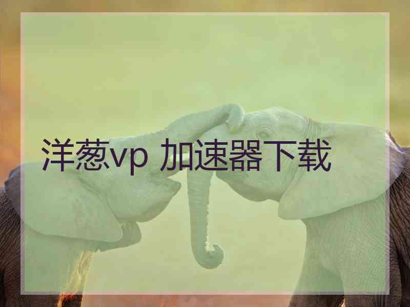 洋葱vp 加速器下载