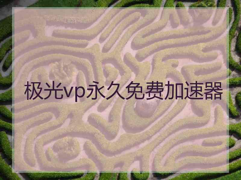 极光vp永久免费加速器