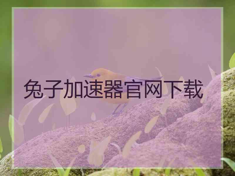 兔子加速器官网下载