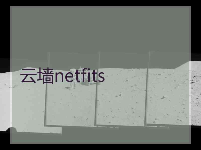 云墙netfits