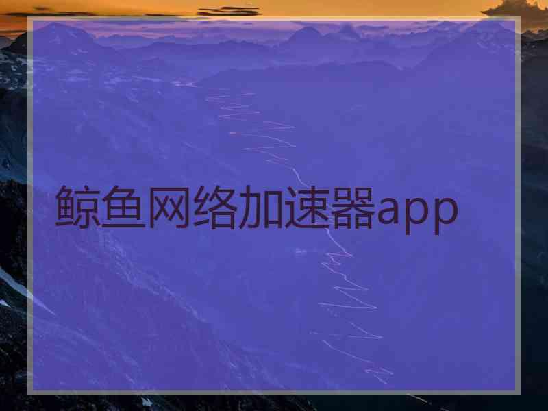 鲸鱼网络加速器app