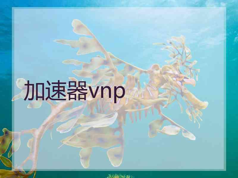 加速器vnp