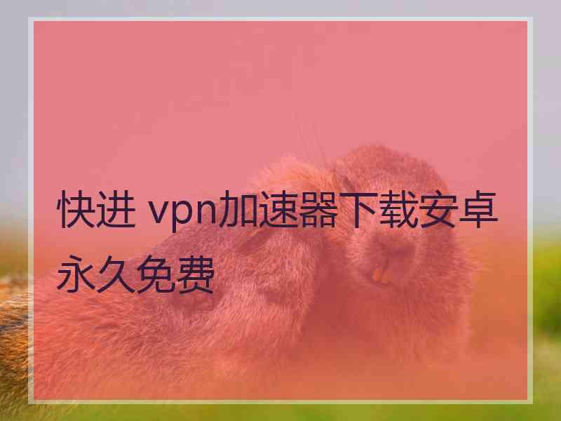 快进 vpn加速器下载安卓永久免费