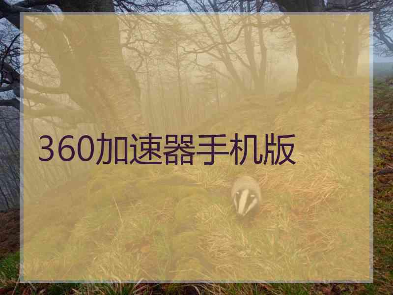 360加速器手机版