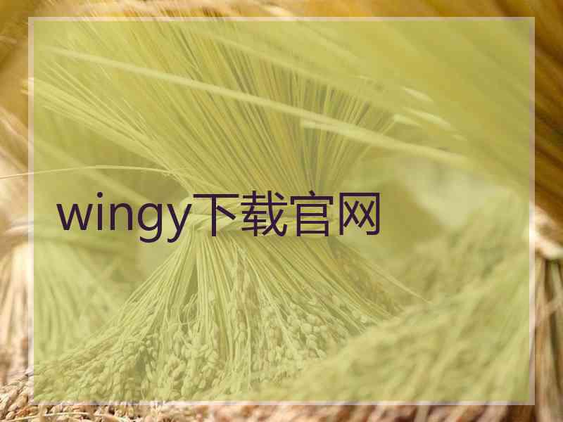 wingy下载官网