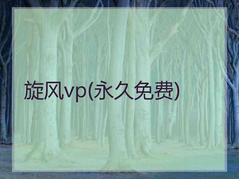 旋风vp(永久免费)