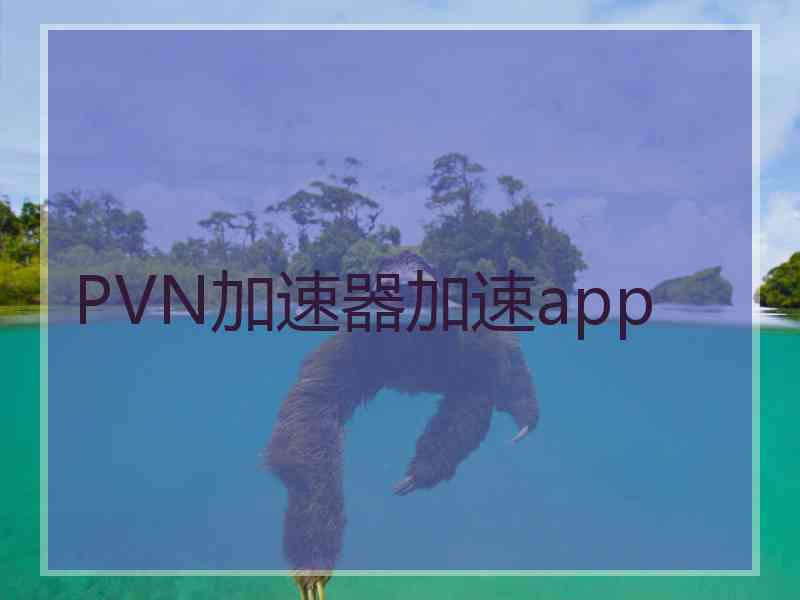 PVN加速器加速app