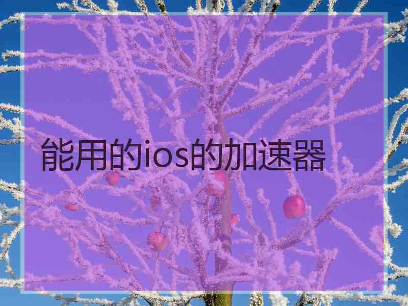 能用的ios的加速器