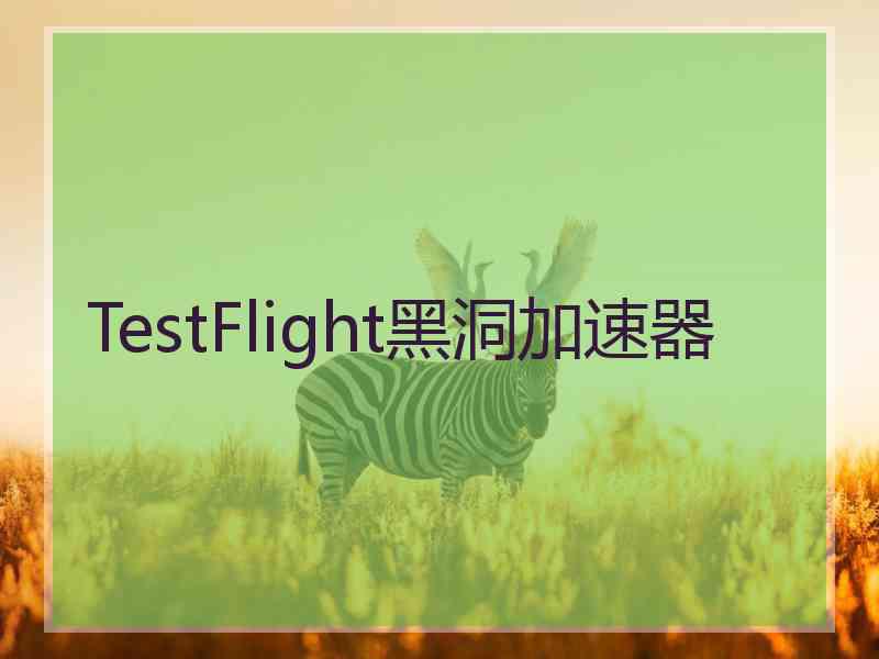 TestFlight黑洞加速器