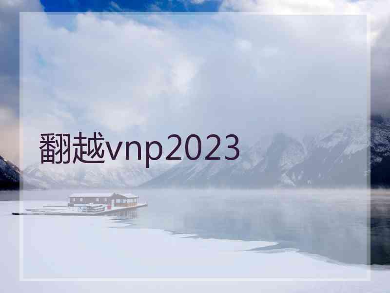 翻越vnp2023