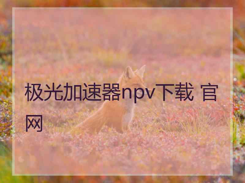 极光加速器npv下载 官网