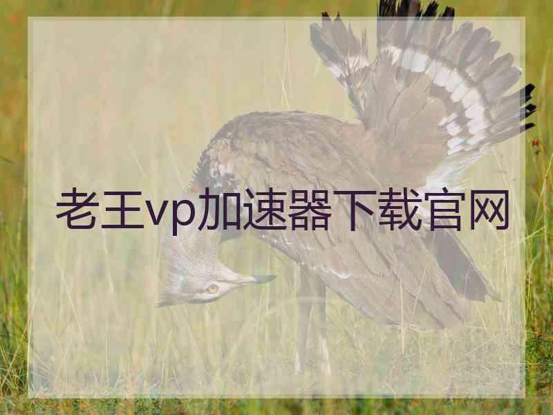 老王vp加速器下载官网