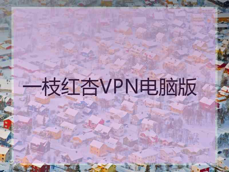 一枝红杏VPN电脑版