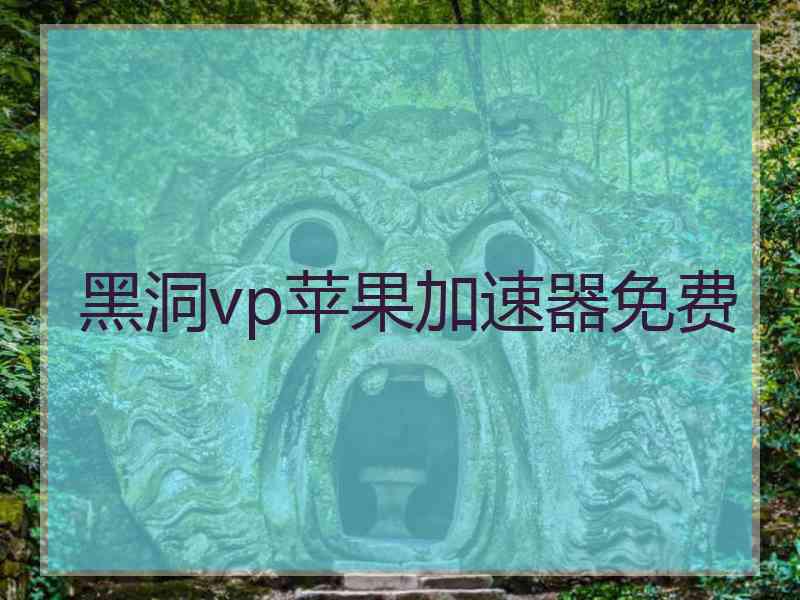 黑洞vp苹果加速器免费