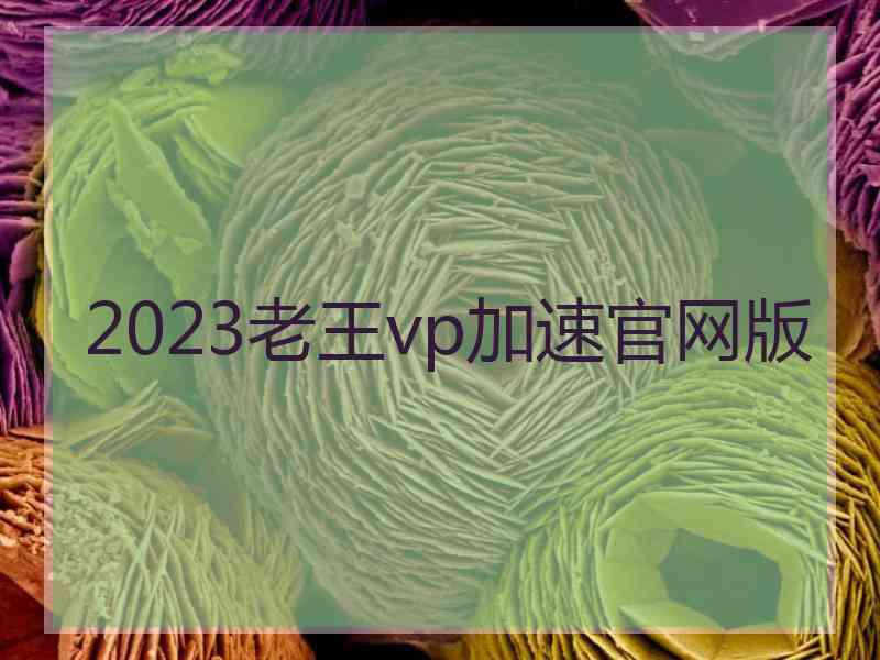 2023老王vp加速官网版