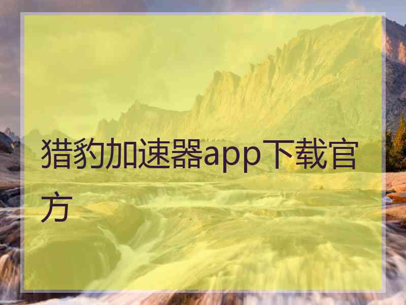 猎豹加速器app下载官方