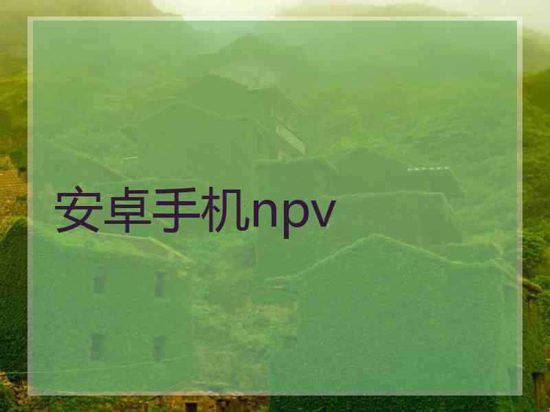 安卓手机npv