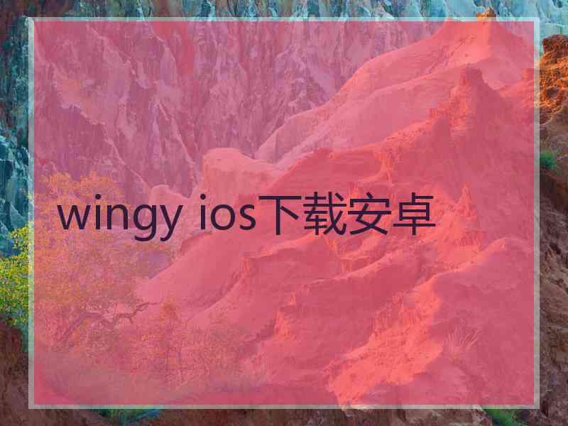 wingy ios下载安卓