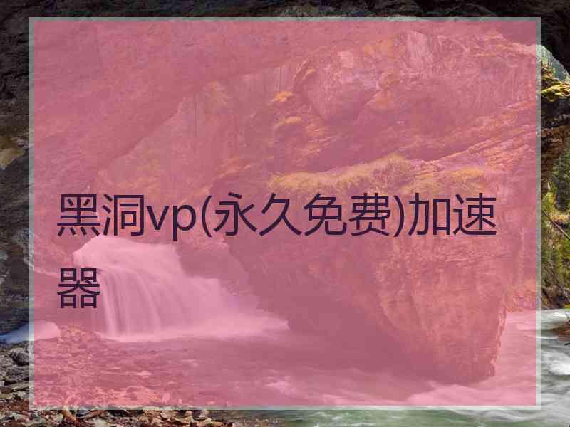 黑洞vp(永久免费)加速器