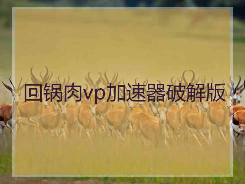 回锅肉vp加速器破解版