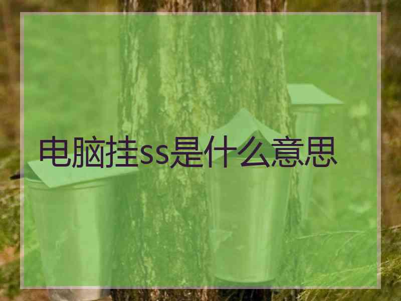 电脑挂ss是什么意思