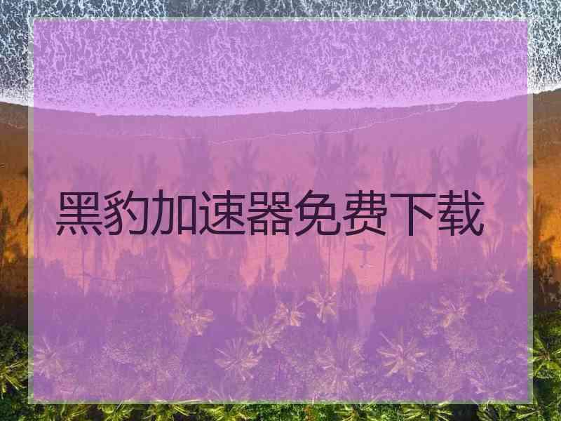 黑豹加速器免费下载