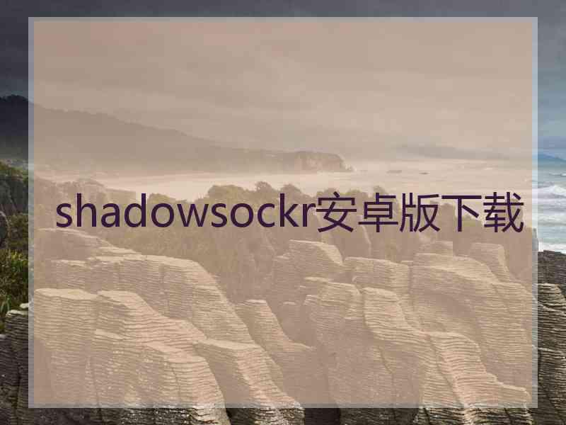 shadowsockr安卓版下载