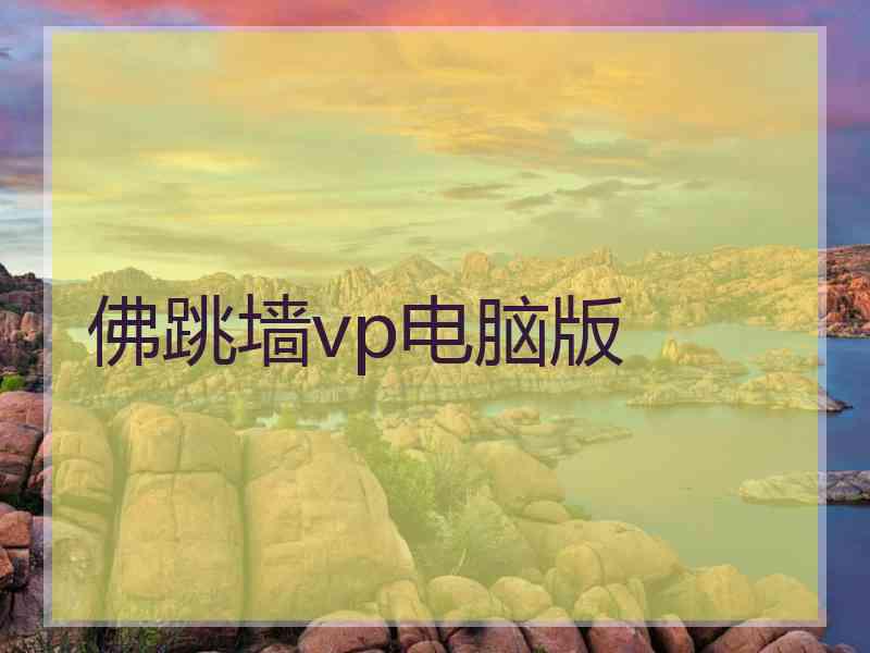 佛跳墙vp电脑版